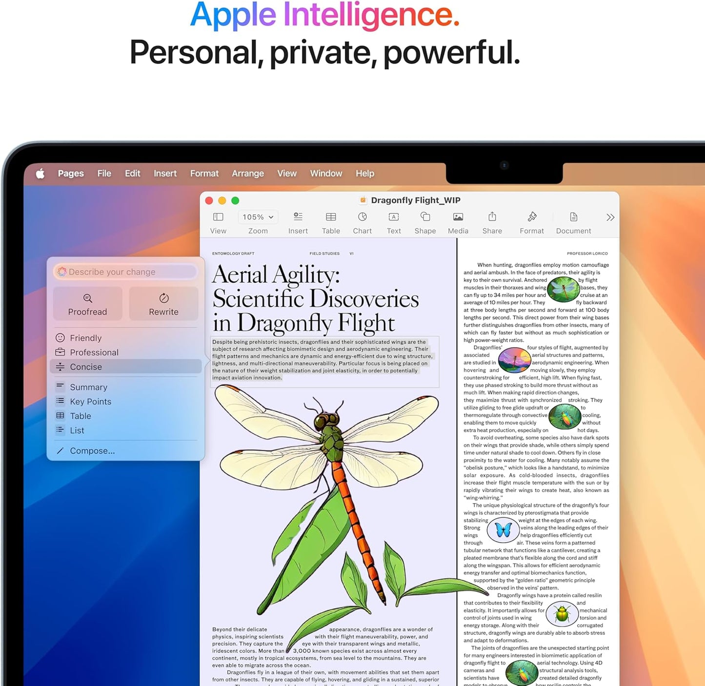 Apple 2025 MacBook Air 13-inch Laptop with M4 chip